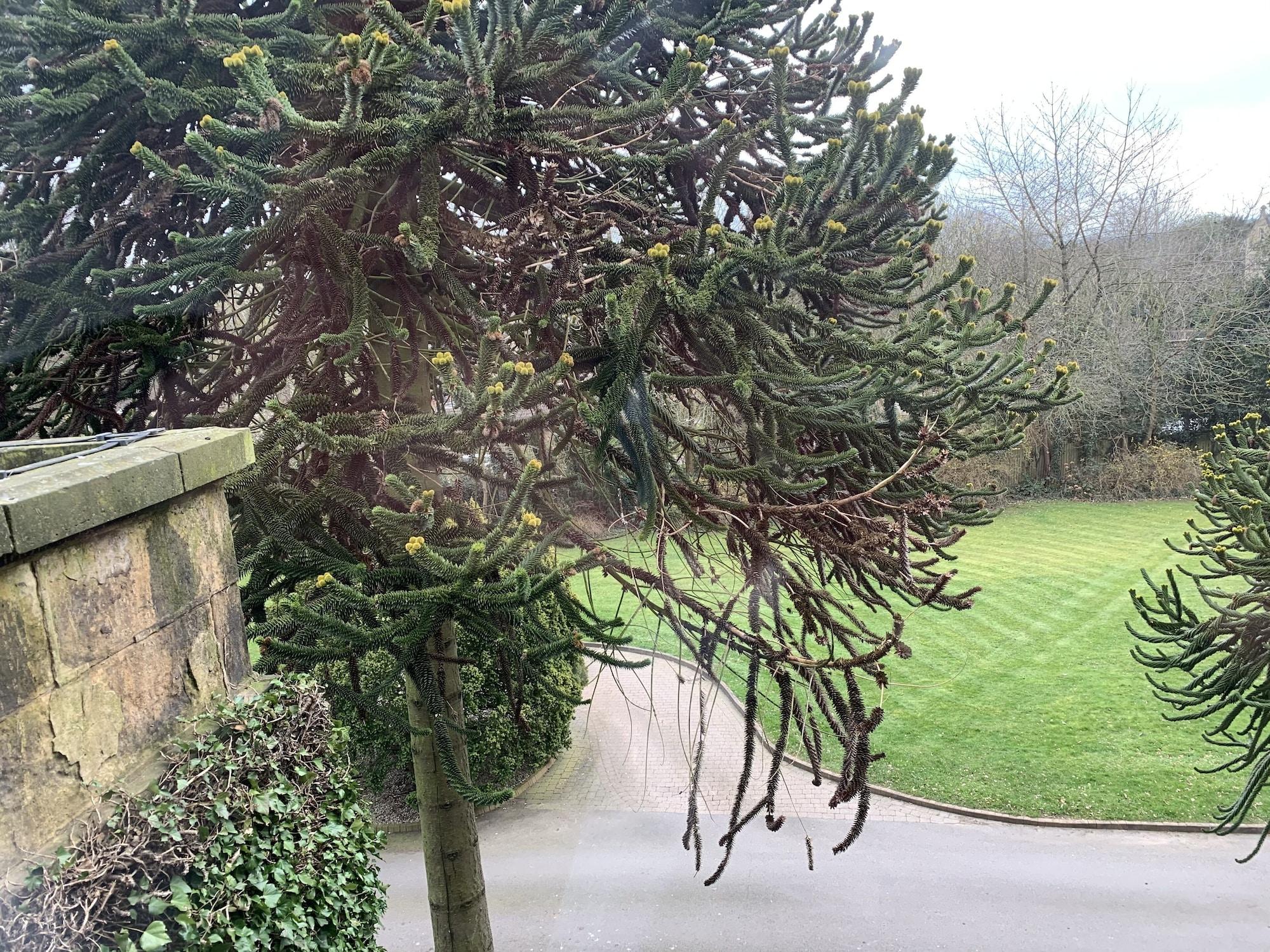 Best Western Plus Sheffield Mosborough Hall Hotel Eksteriør bilde